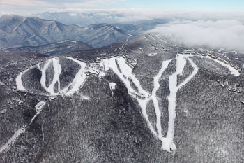 Wintergreen Aerial